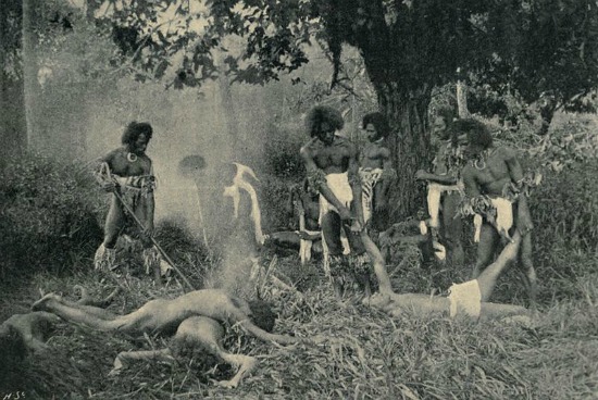 A fiji native cannibal feast