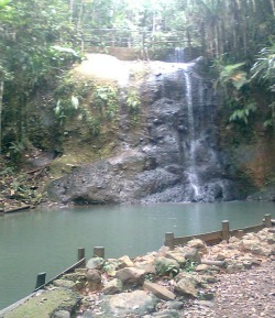 colo-i-suva waterfull near Suva Fiji