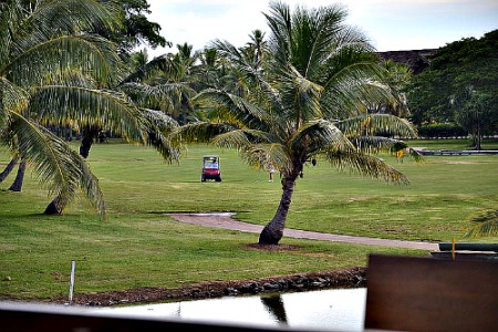 Fiji golf at Denarau golf course