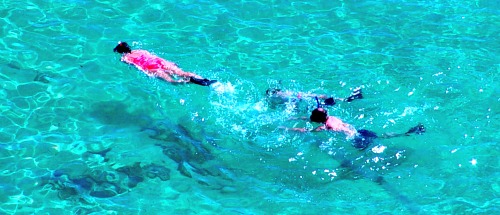 Fiji snorkeling