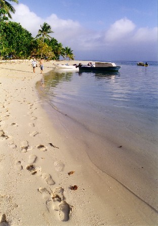 Leleuvia Beach Fiji