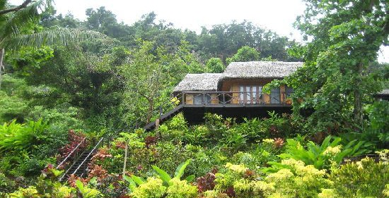 Matangi Island Resort's one of their treehouses in Fiji