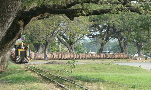 sugar train entering Lautoka Fiji