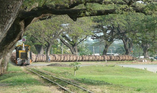 sugar train entering Lautoka Fiji