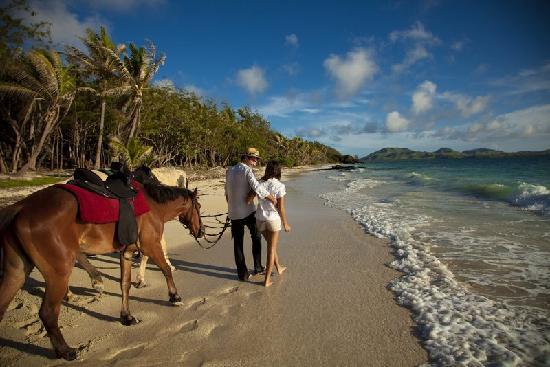 Your own private beach on Turtle Island Fiji