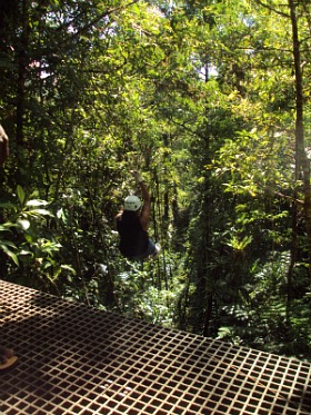 Ziplining through the forest