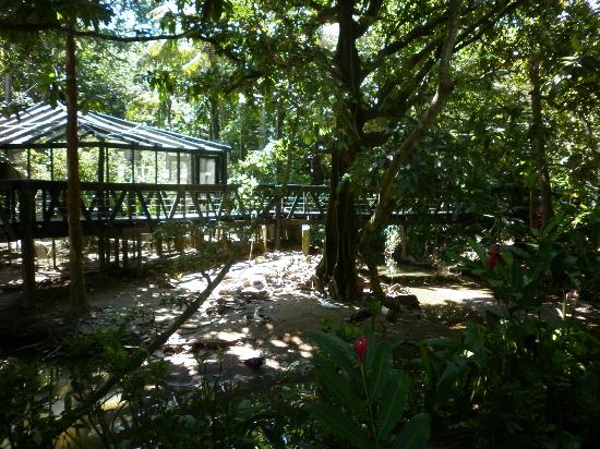 Kula Eco Park near Sigatoka Fiji