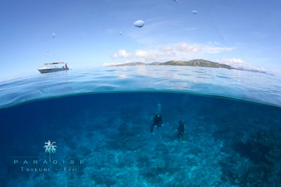 To dive Taveuni is a dream come true!