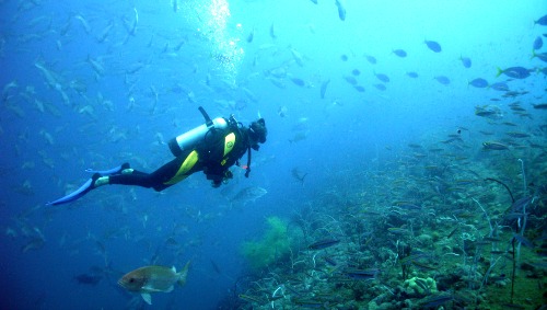 Diving in Fiji