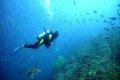 diving near a Fiji dive resort