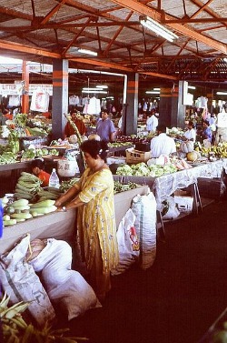 Fiji foods market