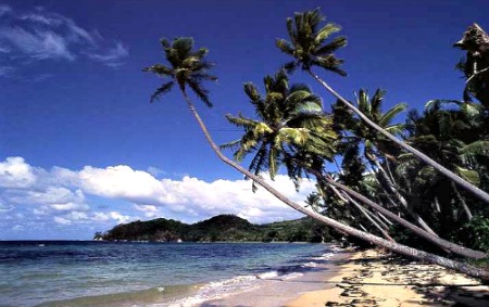 A Fiji beach on Kadavu Island, Fiji