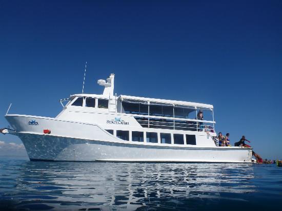 Sorck Cruises offer day Fiji cruises